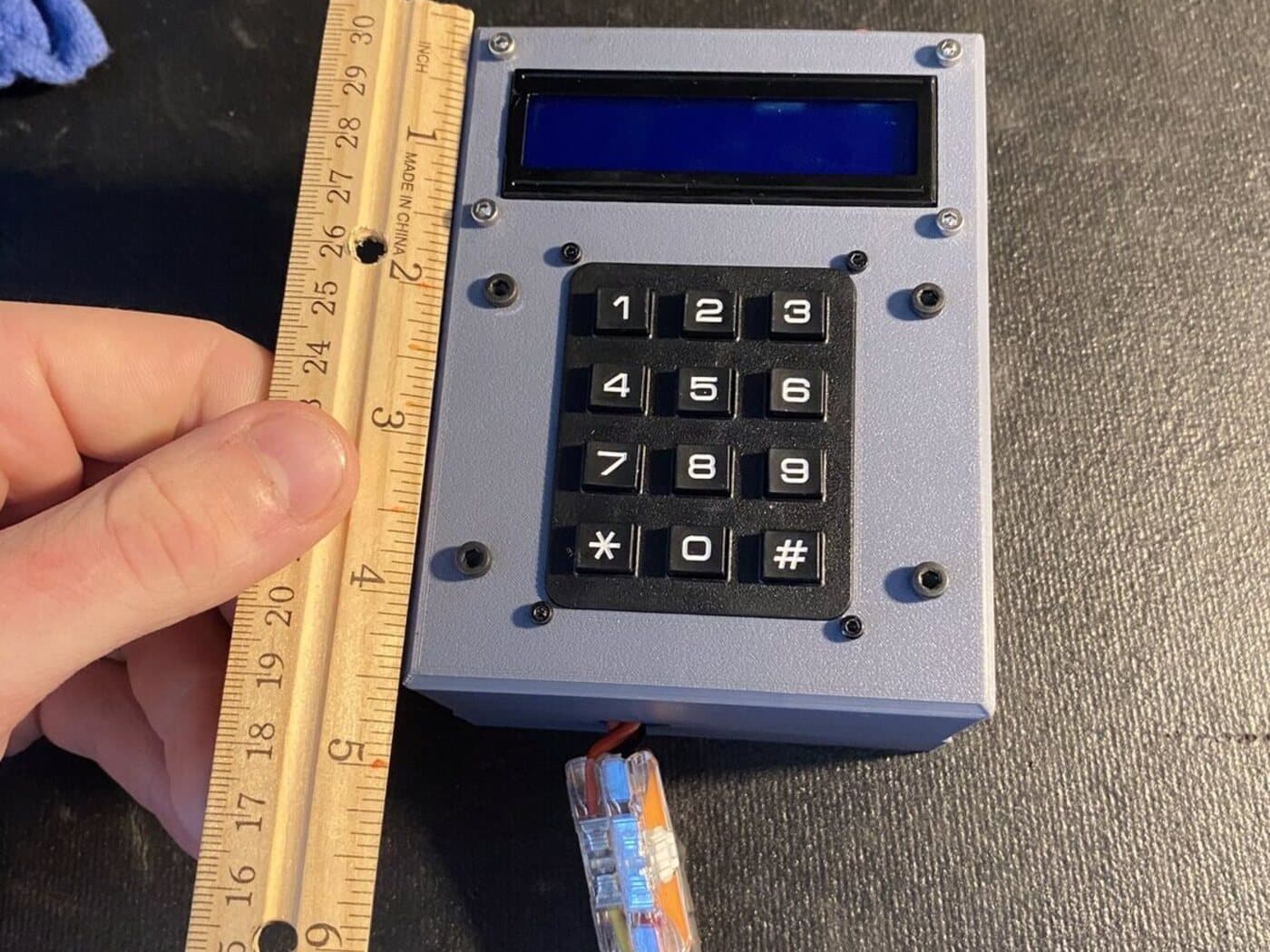 The unit measured for scale